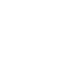 Tesspro Logo